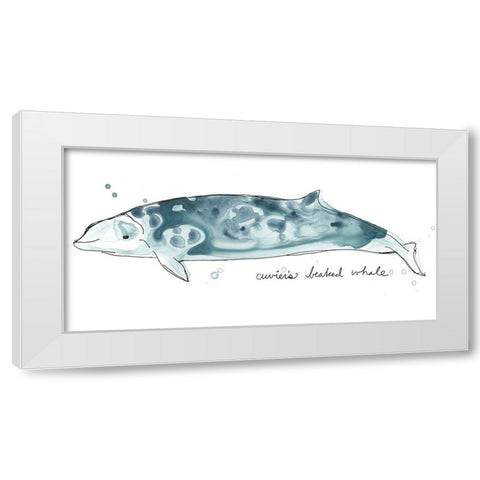 Cetacea Cuviers Beaked Whale White Modern Wood Framed Art Print by Vess, June Erica