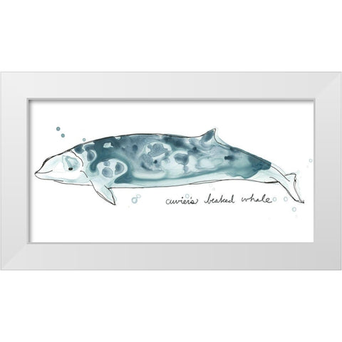 Cetacea Cuviers Beaked Whale White Modern Wood Framed Art Print by Vess, June Erica
