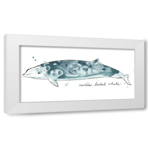 Cetacea Cuviers Beaked Whale White Modern Wood Framed Art Print by Vess, June Erica