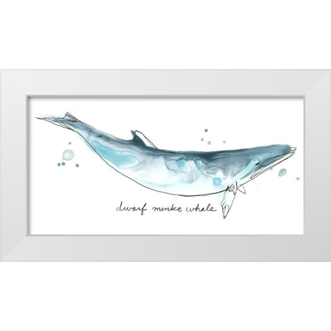 Cetacea Dwarf Minke Whale White Modern Wood Framed Art Print by Vess, June Erica