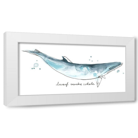 Cetacea Dwarf Minke Whale White Modern Wood Framed Art Print by Vess, June Erica
