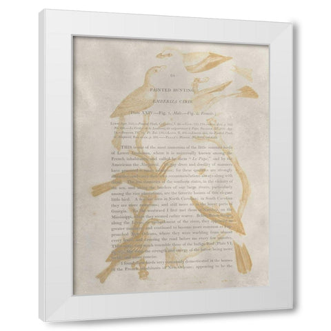 Ornithology Impressions II White Modern Wood Framed Art Print by Wilson, Alexander