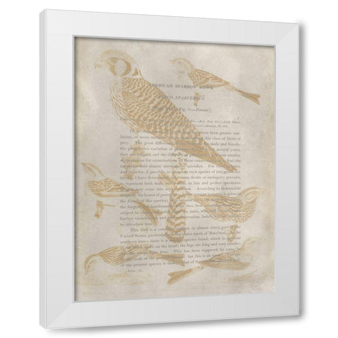 Ornithology Impressions V White Modern Wood Framed Art Print by Wilson, Alexander