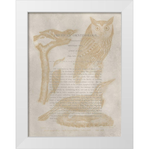 Ornithology Impressions VI White Modern Wood Framed Art Print by Wilson, Alexander