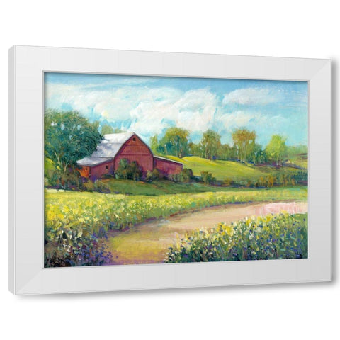 Rural America II White Modern Wood Framed Art Print by OToole, Tim