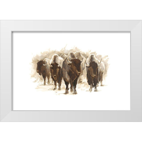 Herd of Bison II White Modern Wood Framed Art Print by Harper, Ethan