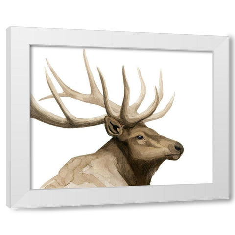 Call of the Elk I White Modern Wood Framed Art Print by Popp, Grace