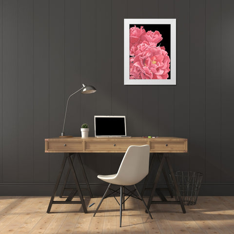 Peonies of My Heart I White Modern Wood Framed Art Print by Wang, Melissa