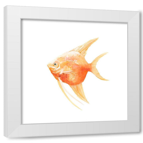 Discus Fish III White Modern Wood Framed Art Print by Scarvey, Emma