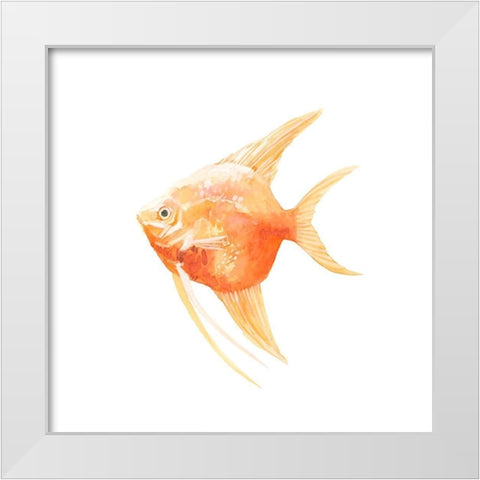 Discus Fish III White Modern Wood Framed Art Print by Scarvey, Emma