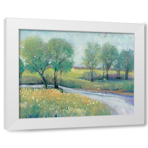 Summer Stream I White Modern Wood Framed Art Print by OToole, Tim