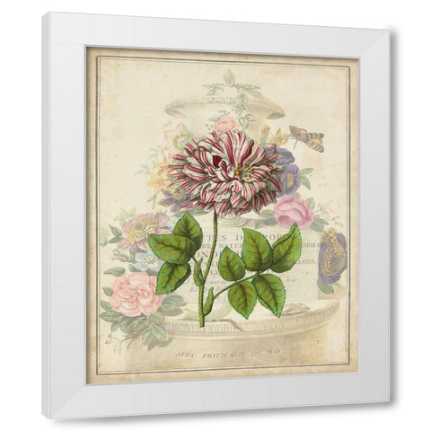 Vintage Rose Bookplate White Modern Wood Framed Art Print by Vision Studio