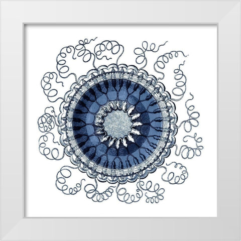 Navy Ocean Gems III White Modern Wood Framed Art Print by Vision Studio