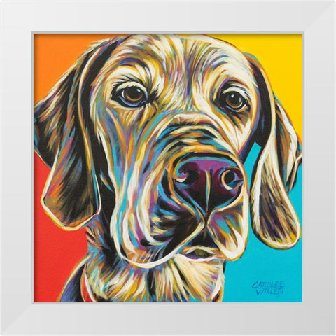 Canine Buddy II White Modern Wood Framed Art Print by Vitaletti, Carolee