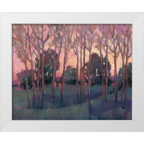 Morning Light I White Modern Wood Framed Art Print by OToole, Tim