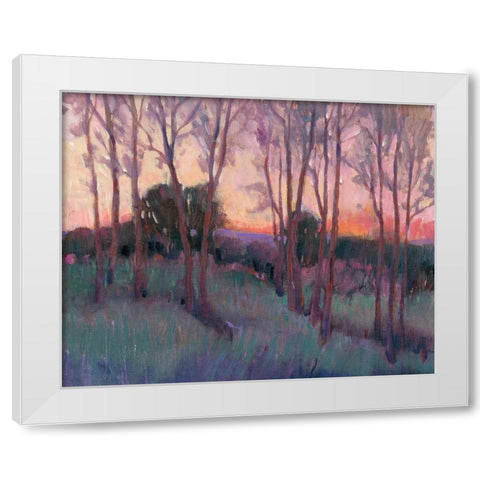 Morning Light II White Modern Wood Framed Art Print by OToole, Tim