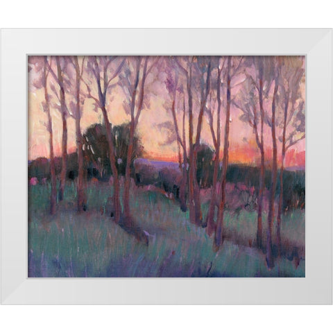 Morning Light II White Modern Wood Framed Art Print by OToole, Tim