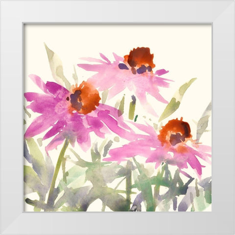 Daisy Garden Views II White Modern Wood Framed Art Print by Dixon, Samuel