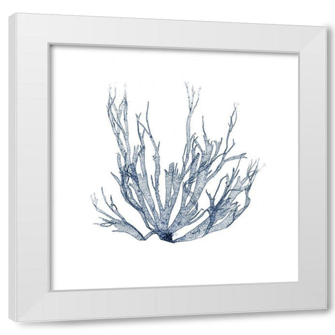 Navy Seaweed IV White Modern Wood Framed Art Print by Vision Studio