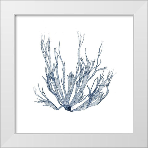 Navy Seaweed IV White Modern Wood Framed Art Print by Vision Studio