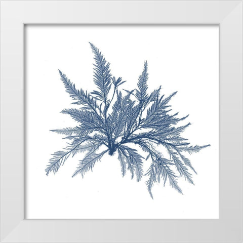 Navy Seaweed V White Modern Wood Framed Art Print by Vision Studio