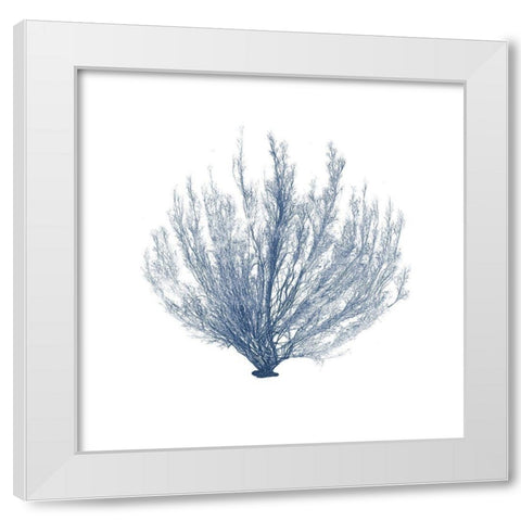 Navy Seaweed VI White Modern Wood Framed Art Print by Vision Studio