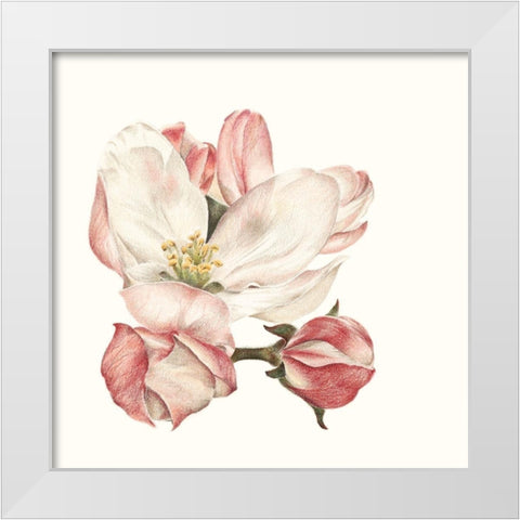 Enlightenment Blossom III White Modern Wood Framed Art Print by Liama, Lily