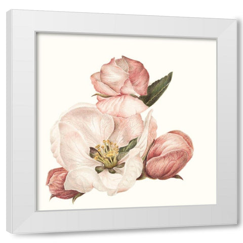 Enlightenment Blossom IV White Modern Wood Framed Art Print by Liama, Lily