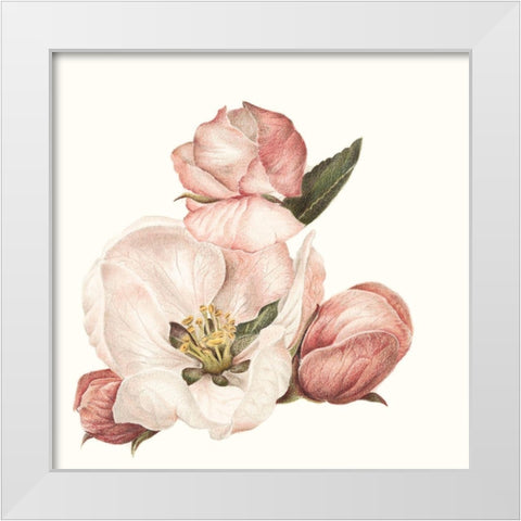 Enlightenment Blossom IV White Modern Wood Framed Art Print by Liama, Lily