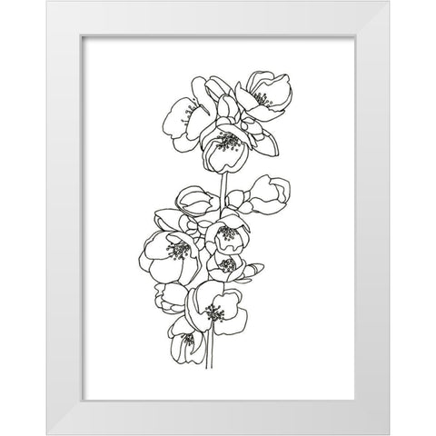 Quince Blossom Contour II White Modern Wood Framed Art Print by Scarvey, Emma