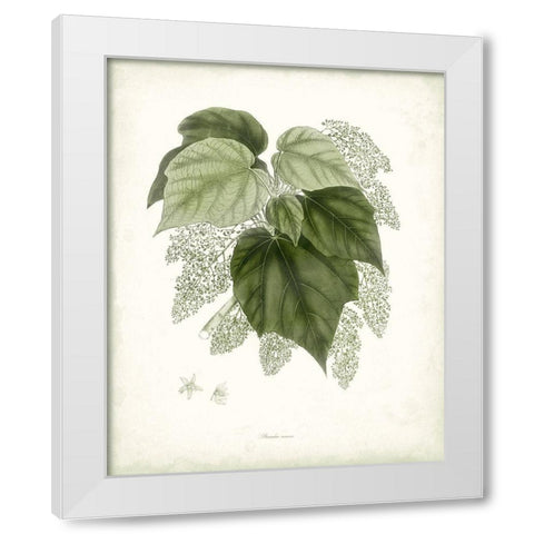 Sage Botanical III White Modern Wood Framed Art Print by Vision Studio