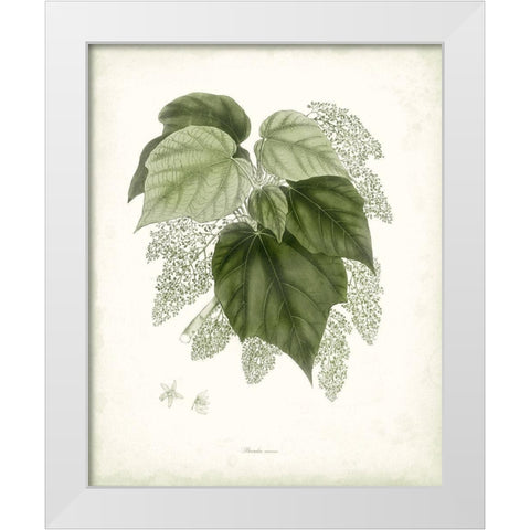 Sage Botanical III White Modern Wood Framed Art Print by Vision Studio