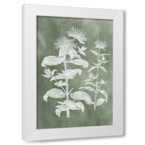 Sage Impressions III White Modern Wood Framed Art Print by Vision Studio