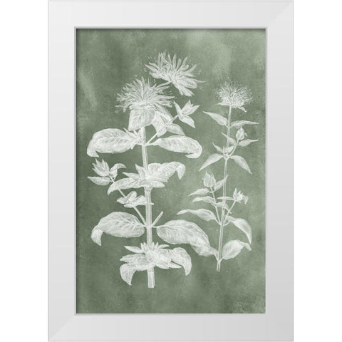 Sage Impressions III White Modern Wood Framed Art Print by Vision Studio