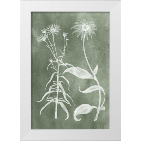 Sage Impressions IV White Modern Wood Framed Art Print by Vision Studio