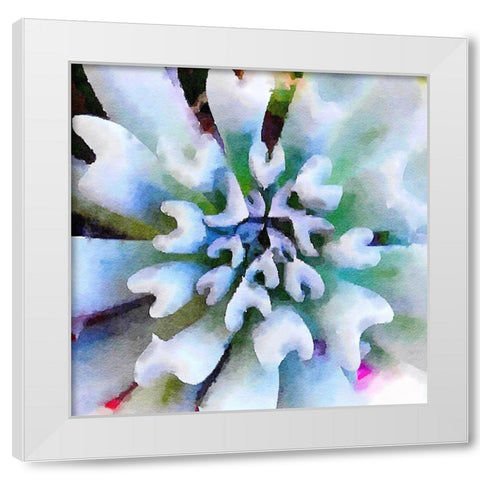 Succulente I White Modern Wood Framed Art Print by Bolick, Vicki Gladle