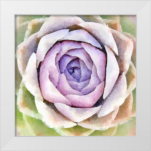 Succulente IV White Modern Wood Framed Art Print by Bolick, Vicki Gladle
