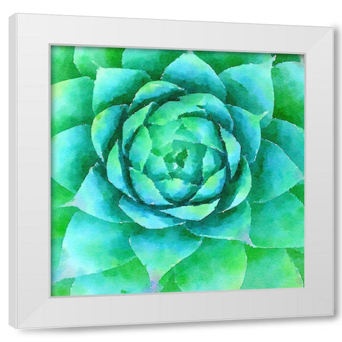 Succulente X White Modern Wood Framed Art Print by Bolick, Vicki Gladle