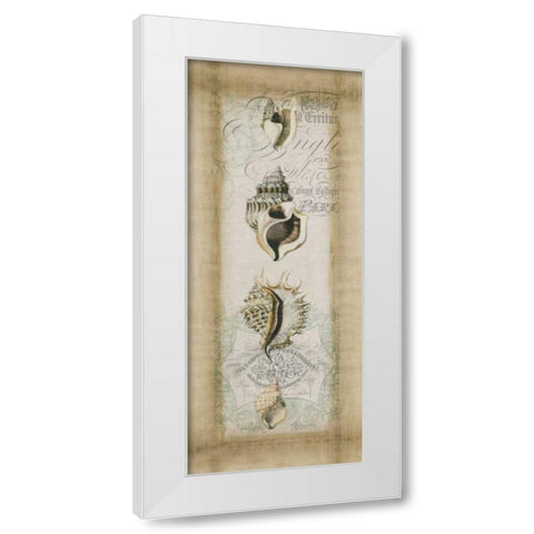 Cartouche and Shells II White Modern Wood Framed Art Print by Goldberger, Jennifer