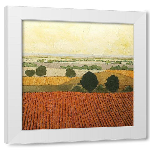 After Harvest White Modern Wood Framed Art Print by Friedlander, Allen