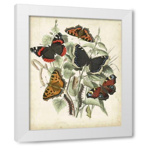 Non-Embellished Butterfly Haven I White Modern Wood Framed Art Print by Vision Studio