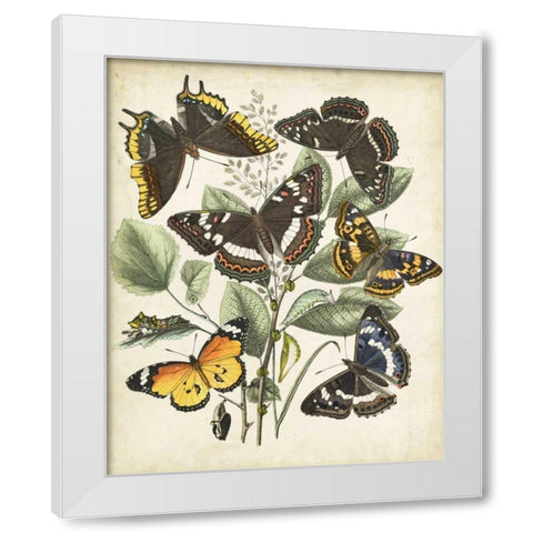Non-Embellished Butterfly Haven II White Modern Wood Framed Art Print by Vision Studio