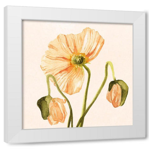 Highpoint Poppies I White Modern Wood Framed Art Print by Scarvey, Emma