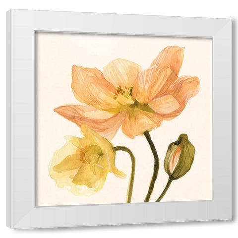 Highpoint Poppies II White Modern Wood Framed Art Print by Scarvey, Emma