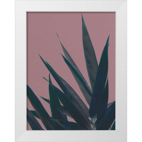 Bamboo Pink II White Modern Wood Framed Art Print by Stramel, Renee W.