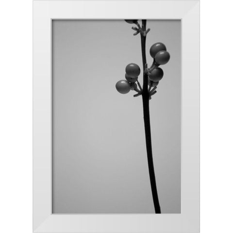 Liriope III White Modern Wood Framed Art Print by Stramel, Renee W.