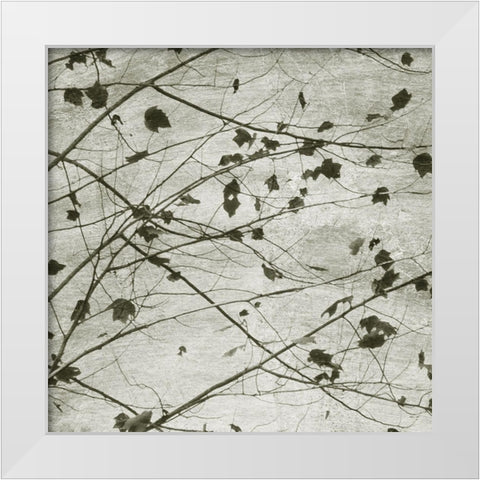 Laced Sky I White Modern Wood Framed Art Print by Chandler, Sharon