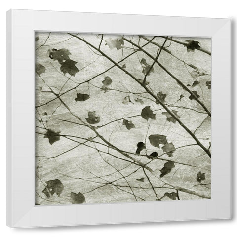 Laced Sky II White Modern Wood Framed Art Print by Chandler, Sharon