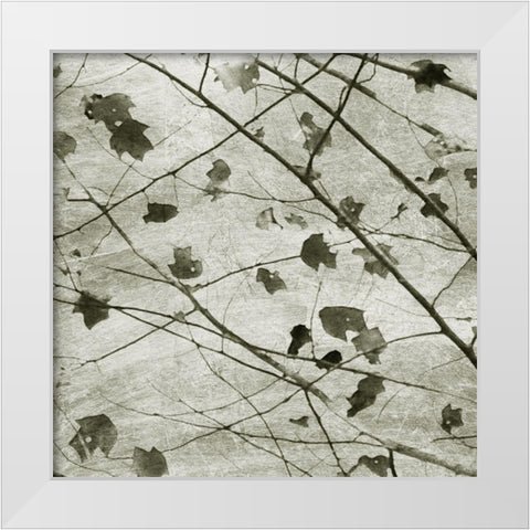Laced Sky II White Modern Wood Framed Art Print by Chandler, Sharon