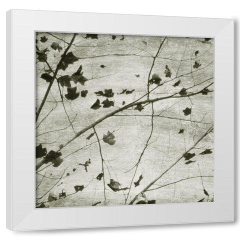 Laced Sky III White Modern Wood Framed Art Print by Chandler, Sharon